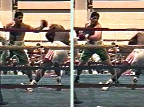 Peter McNeeley vs Wayne Perdue - Image #19