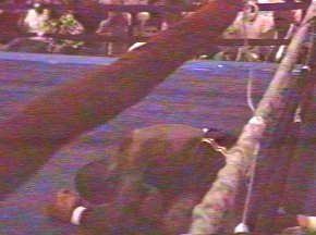 Peter McNeeley vs Roberto Perez - Image #14