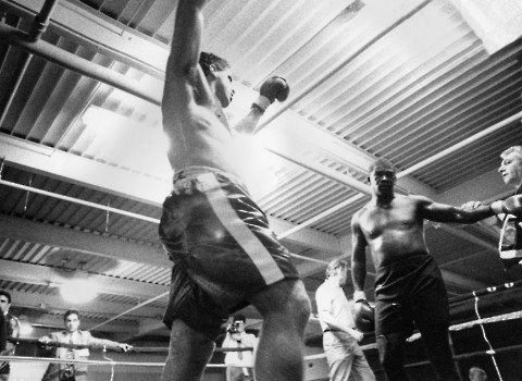 HEAVYWEIGHT BOXER PETER McNEELEY CELEBRATES TKO VICTORY OVER FORMER CHAMPION J.B.WILLIAMSON