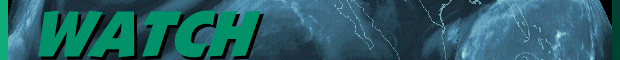 HURRICANE WATCH - THE OFFICIAL PETER McNEELEY WEBSITE